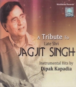 A Tribute to Late Shri Jagjit Singh Instrumental Hits Hindi Audio CD